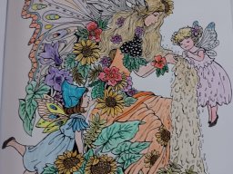 whatsapp bild 2024-03-05 um 12.26.07_242e6efa